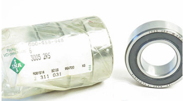 INA 3005-2RS bearings